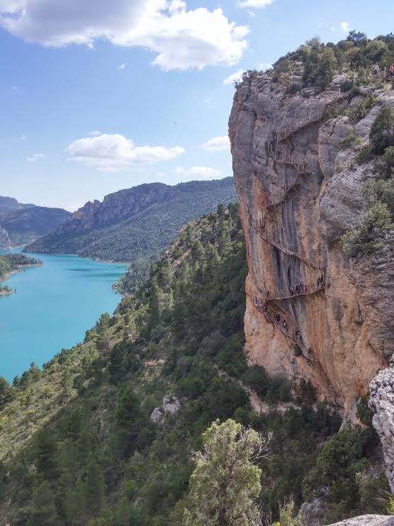 4d7f2538-ca66-4383-997b-3af84645d4d3