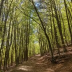 Turó de l’home i les Agudes