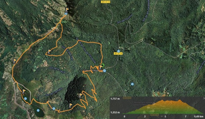 ruta