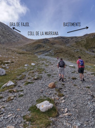 coll-marrana