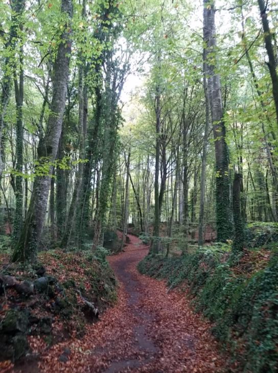 caminant3