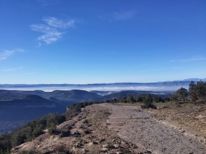 arribant-al-trencall