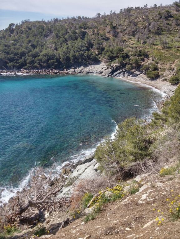 cala murtra2