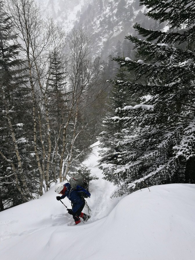 PicsArt_02-06-11.57.26