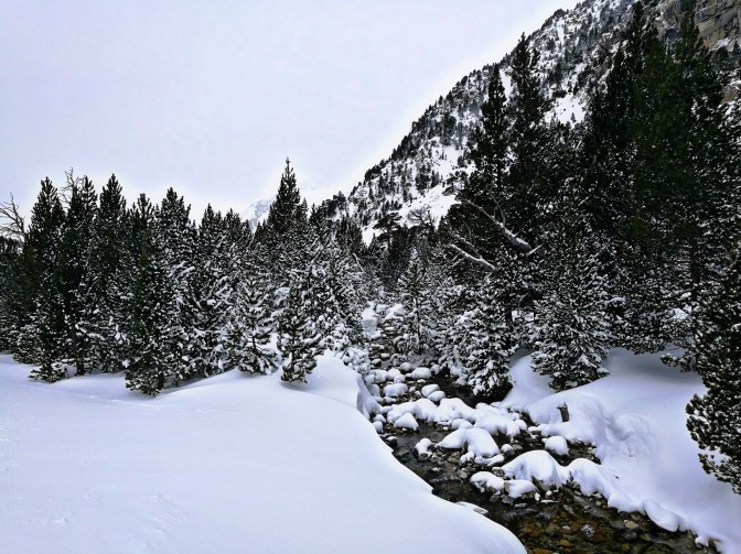 PicsArt_02-06-12.06.23