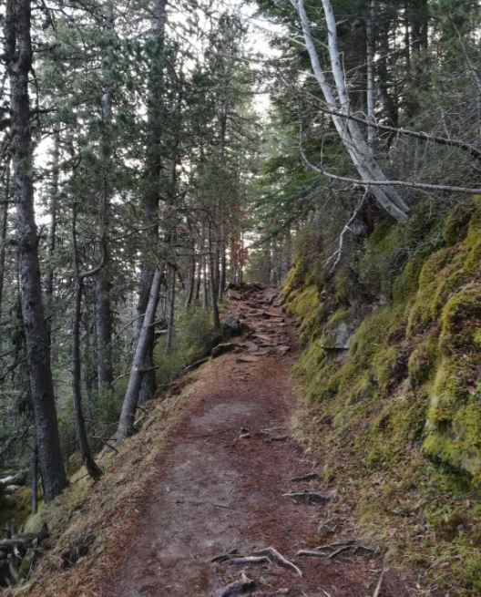 sender cap a prat de cadi